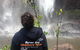 Byron Bay Hinterland Tour Including Rainforest Walk To Minyon Falls - thumb 6