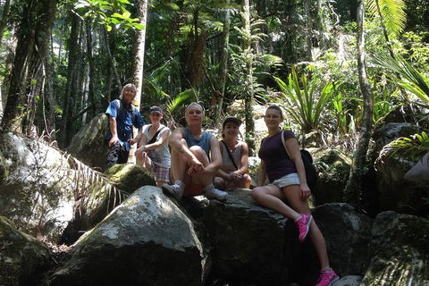Byron Bay Hinterland Tour Including Rainforest Walk To Minyon Falls - Accommodation Bookings 4