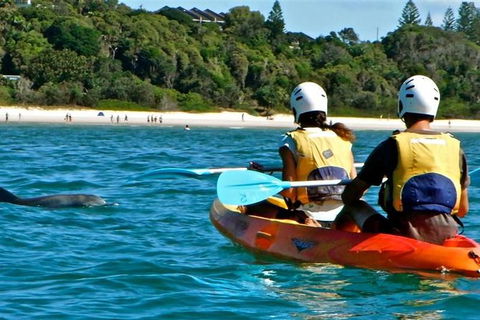 Byron Bay Kayaking With Dolphins And Mount Warning Sunrise Climb Including Overnight Camping And BBQ Dinner - Accommodation Bookings 9
