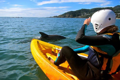 Byron Bay Kayaking With Dolphins And Mount Warning Sunrise Climb Including Overnight Camping And BBQ Dinner - Accommodation Bookings 7