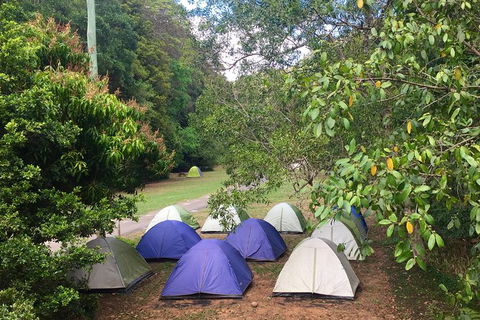 Byron Bay Kayaking With Dolphins And Mount Warning Sunrise Climb Including Overnight Camping And BBQ Dinner - Accommodation Bookings 13