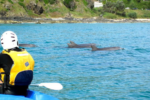 Byron Bay Kayaking With Dolphins And Mount Warning Sunrise Climb Including Overnight Camping And BBQ Dinner - Accommodation Bookings 8