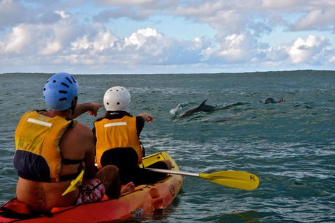 Byron Bay Kayaking With Dolphins And Mount Warning Sunrise Climb Including Overnight Camping And BBQ Dinner - Accommodation Bookings 3