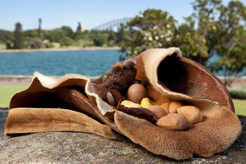 Aboriginal Heritage Tour At The Royal Botanic Garden Sydney - Accommodation Bookings 7