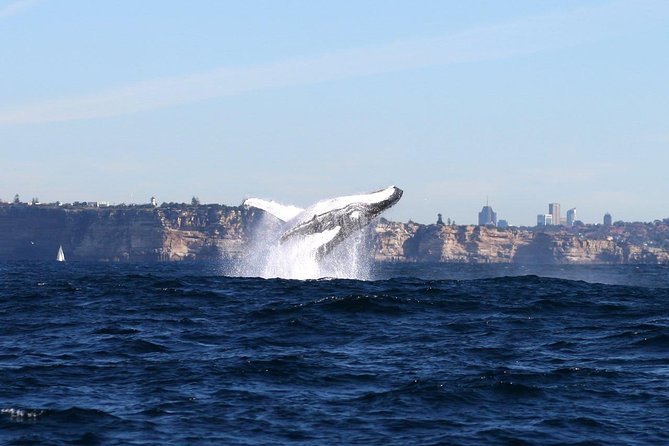 Sydney NSW Accommodation Bookings