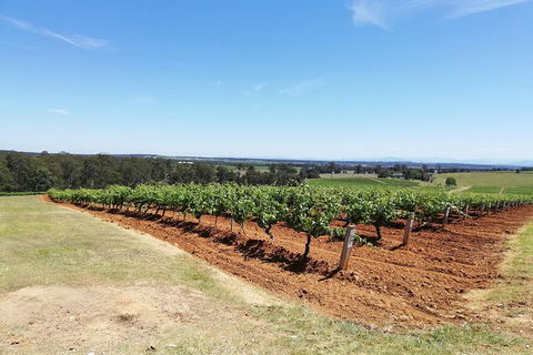 Hunter Valley Private Tour Including Wine, Chocolate, Cheese, Vodka, Gin Tasting - Accommodation Bookings 16