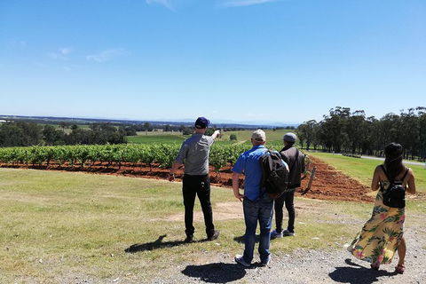 Hunter Valley Private Tour Including Wine, Chocolate, Cheese, Vodka, Gin Tasting - Accommodation Bookings 13