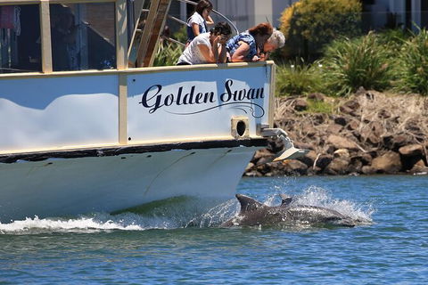 Tweed River And Rainforest Eco Cruise - Accommodation Bookings 2