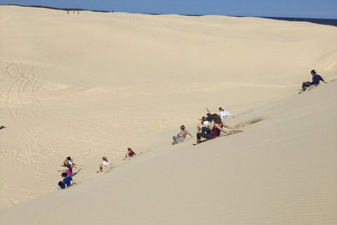 Port Stephens Bush, Beach And Sand Dune 4WD Passenger Tour - Accommodation Bookings 2
