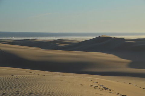 Port Stephens Bush, Beach And Sand Dune 4WD Passenger Tour - Accommodation Bookings 6