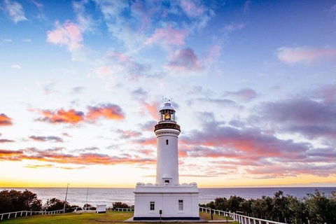 Newcastle And Central Coast Private Shore Excursion | Departs Newcastle Port - Accommodation Bookings 6