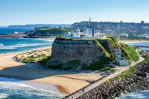 Newcastle And Central Coast Private Shore Excursion | Departs Newcastle Port - Accommodation Bookings 12