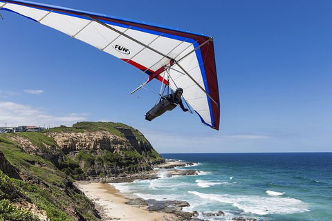 Newcastle And Central Coast Private Shore Excursion | Departs Newcastle Port - Accommodation Bookings 5