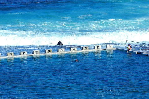 Newcastle And Central Coast Private Shore Excursion | Departs Newcastle Port - Accommodation Bookings 4