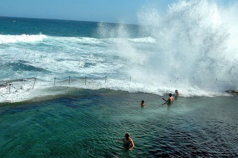Newcastle And Central Coast Private Shore Excursion | Departs Newcastle Port - Accommodation Bookings 9