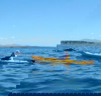 Whale Watching by Sea Kayak in Batemans Bay - Accommodation Bookings