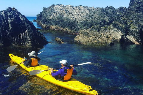 Half Day Sea Kayak Tour From Batemans Bay - Accommodation Bookings 1