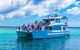 Jervis Bay Whale Watching Tour - thumb 2