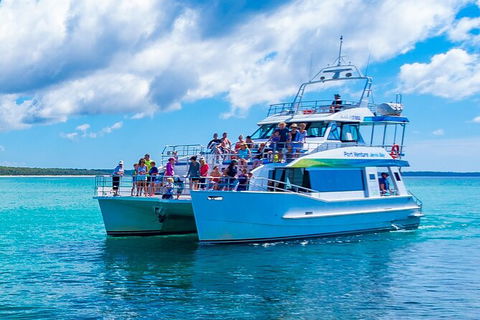 Jervis Bay Whale Watching Tour - Accommodation Bookings 2