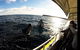Jervis Bay Whale Watching Tour - thumb 3