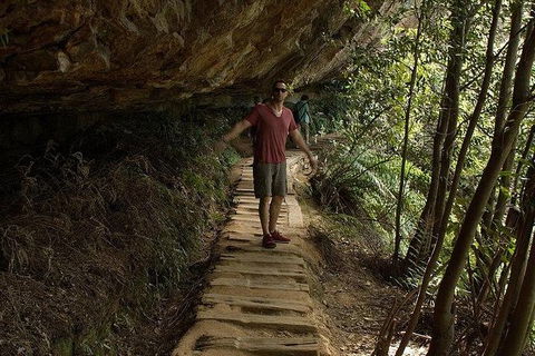 Inside The Greater Blue Mountains World Heritage - A Wildlife Safari Overnight - Accommodation Bookings 26