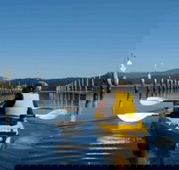 Batemans Bay Oyster Tasting Kayak Tour - Accommodation Bookings