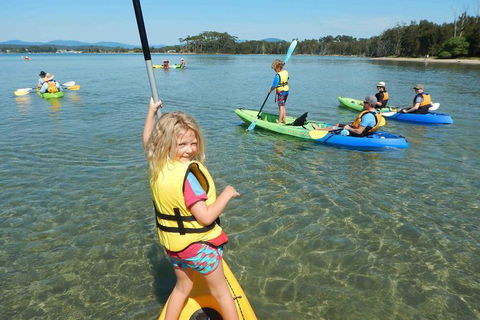 Batemans Bay Glass-Bottom Kayak Tour Over 2 Relaxing Hours - Accommodation Bookings 0