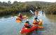 Batemans Bay Glass-Bottom Kayak Tour Over 2 Relaxing Hours - thumb 4