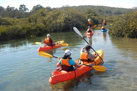 Batemans Bay Glass-Bottom Kayak Tour Over 2 Relaxing Hours - Accommodation Bookings 4