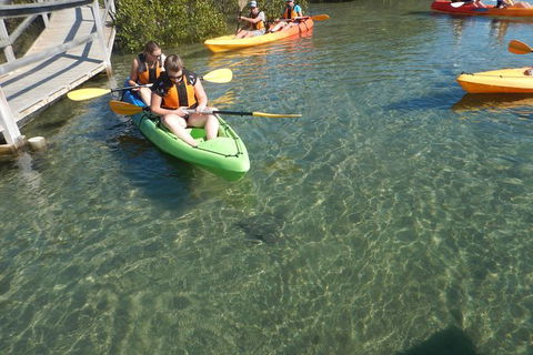 Batemans Bay Glass-Bottom Kayak Tour Over 2 Relaxing Hours - Accommodation Bookings 5