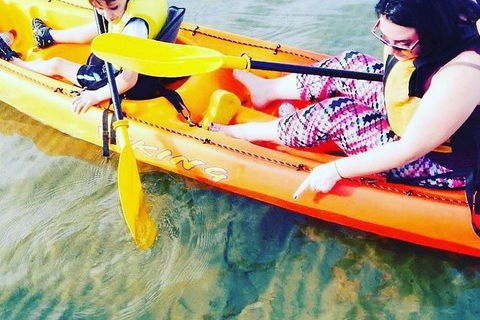Batemans Bay Glass-Bottom Kayak Tour Over 2 Relaxing Hours - Accommodation Bookings 6