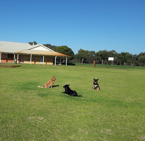 Meet The Animals - Accommodation Bookings 3