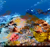 Agincourt Reef - Accommodation Bookings