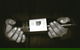 Allandale Winery - thumb 0