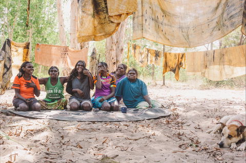 Anindilyakwa Arts, Groote Eylandt - Accommodation Bookings 0