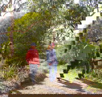 Arthurs Seat Circuit Walk - Accommodation Bookings