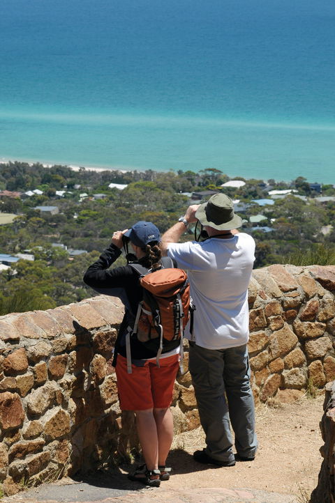 Arthurs Seat State Park - Accommodation Bookings 2