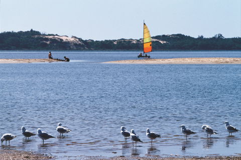 Australind - Accommodation Bookings 0