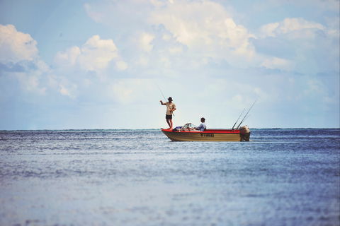 Barramundi To Trevally – A Seaforth Fishing Adventure - Accommodation Bookings 1