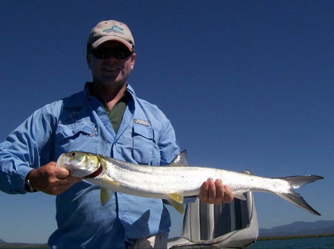 Barramundi To Trevally – A Seaforth Fishing Adventure - Accommodation Bookings 2