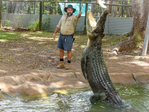 Billabong Sanctuary - Accommodation Bookings 1