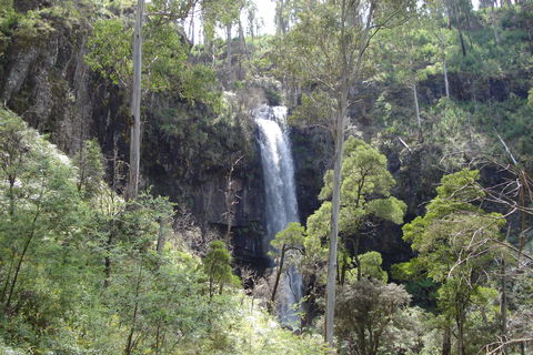 Bindaree Falls - Accommodation Bookings 0