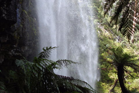 Bindaree Falls - Accommodation Bookings 2