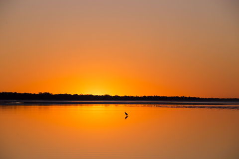 Birdwatching On The Fraser Coast - Accommodation Bookings 1