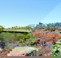 Bladensburg National Park - Accommodation Bookings