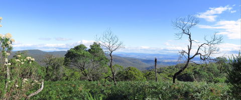 Blue Range Camping And Picnic Area - Accommodation Bookings 0