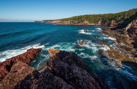 Boyds Tower To Saltwater Creek Walking Track - Accommodation Bookings 0