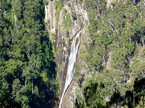Carrai National Park - Accommodation Bookings 0
