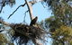 Castle Creek Reserve - thumb 0
