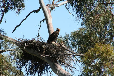 Castle Creek Reserve - Accommodation Bookings 0